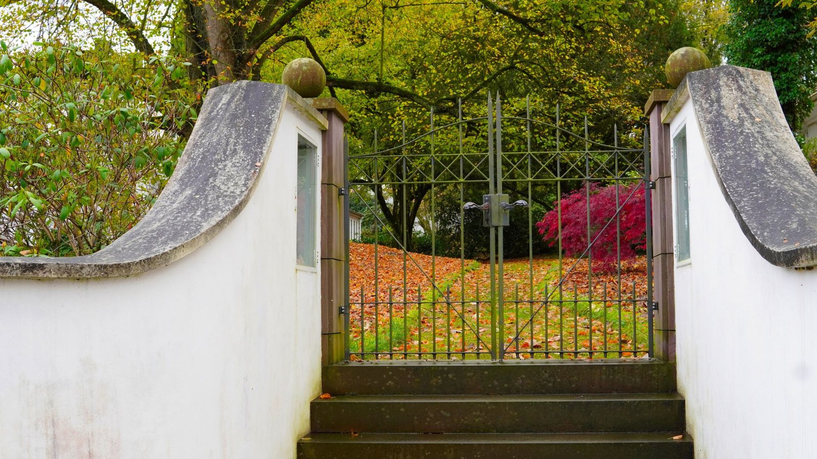 Best Gate Material: What to Choose for Security, Style, and Budget